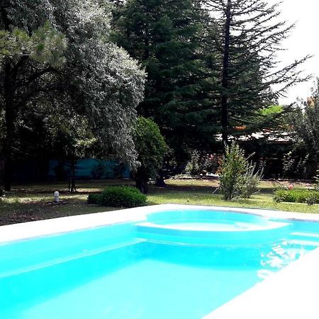 Casa Rural Entre Bodegas Y Vinedos ' El Jarillal" Ла-Консульта Экстерьер фото