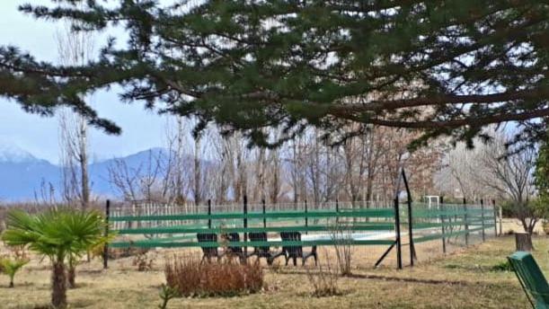 Гостевой дом Casa Rural Entre Bodegas Y Vinedos ' El Jarillal" Ла-Консульта Экстерьер фото