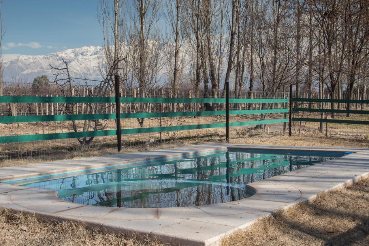 Гостевой дом Casa Rural Entre Bodegas Y Vinedos ' El Jarillal" Ла-Консульта Экстерьер фото