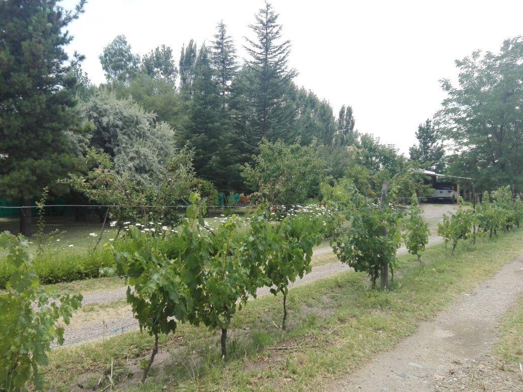 Гостевой дом Casa Rural Entre Bodegas Y Vinedos ' El Jarillal" Ла-Консульта Экстерьер фото