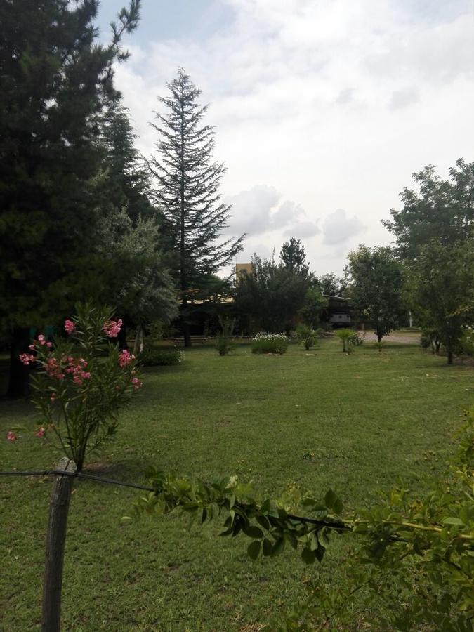 Casa Rural Entre Bodegas Y Vinedos ' El Jarillal" Ла-Консульта Экстерьер фото