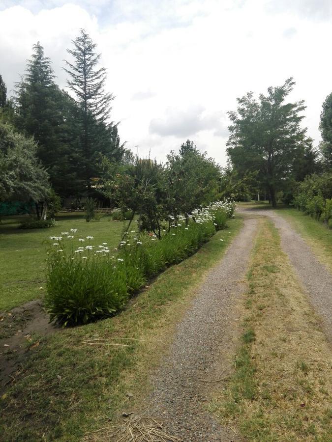 Casa Rural Entre Bodegas Y Vinedos ' El Jarillal" Ла-Консульта Экстерьер фото